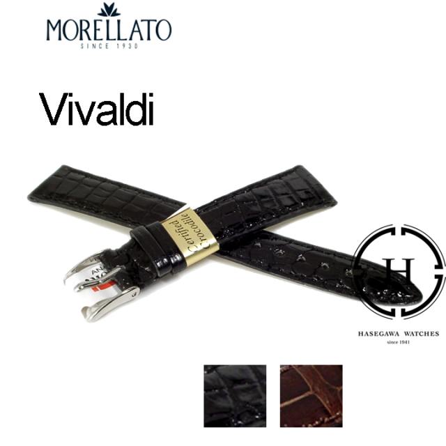 モレラート時計ベルト|VIVALDI|ビバルディ|アリゲーター|ワニ革